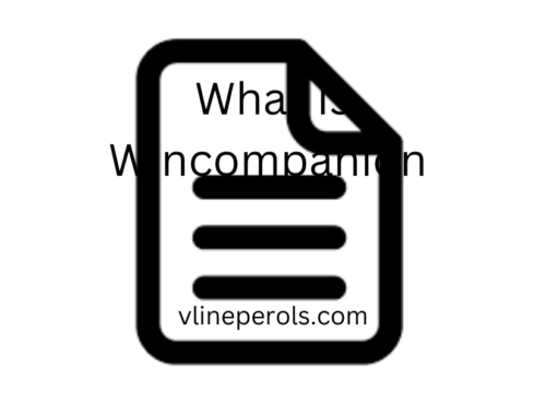 What Is Wincompanion