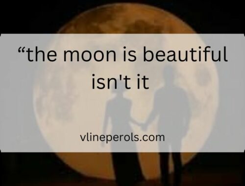 “the moon is beautiful isn't it