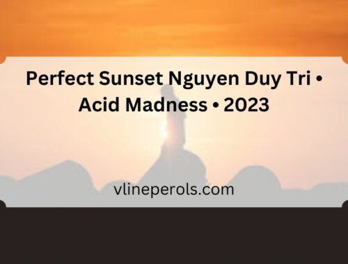 Perfect Sunset Nguyen Duy Tri • Acid Madness • 2023