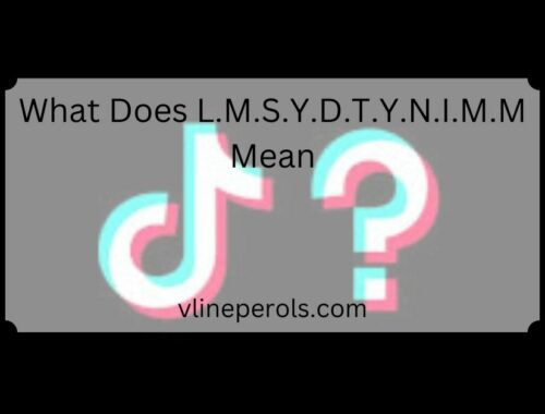 What Does L.M.S.Y.D.T.Y.N.I.M.M Mean