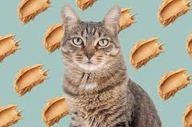Is Peanut Butter Bad For Cats 