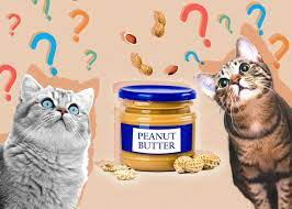 Is Peanut Butter Bad For Cats 